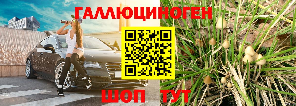 Псилоцибиновые грибы мицелий  Вход с VPN  Галлюциногенные грибы прущие грибы  Сунжа 
